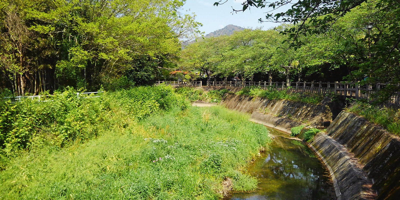 隠遁生活地周辺の風景